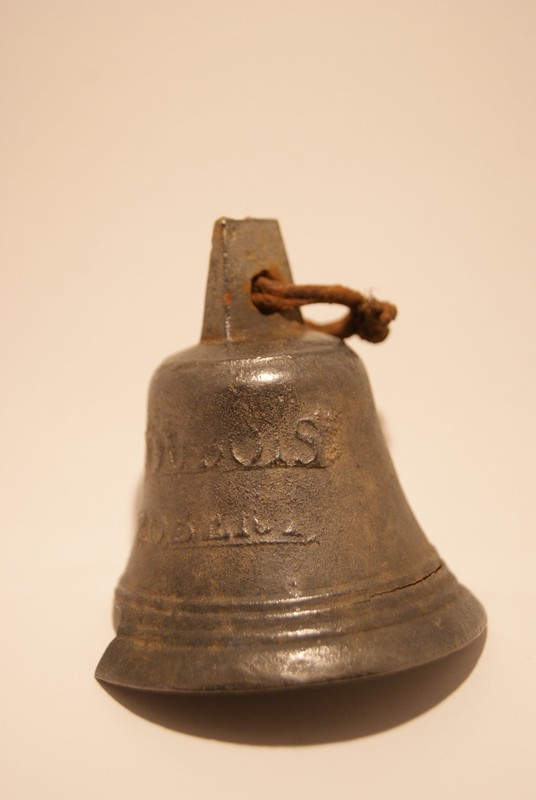 sorties 3 et 4 novembre 2012